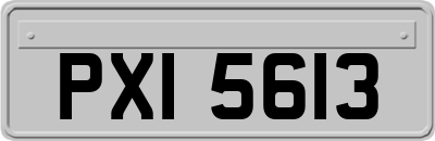 PXI5613