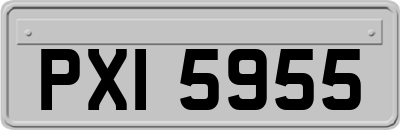 PXI5955