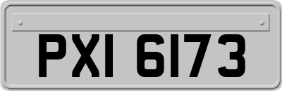 PXI6173