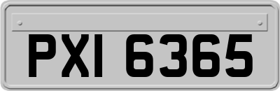 PXI6365