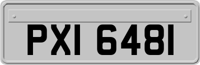 PXI6481