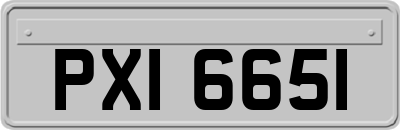 PXI6651