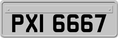 PXI6667