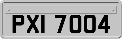 PXI7004