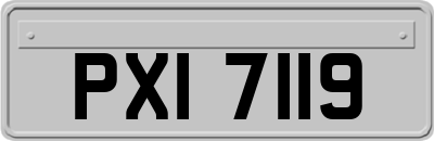 PXI7119