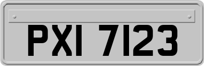 PXI7123