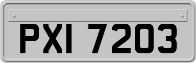 PXI7203