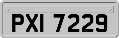 PXI7229