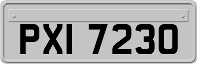 PXI7230