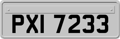 PXI7233