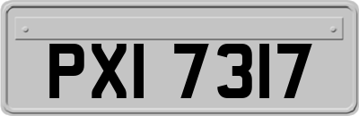 PXI7317