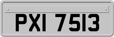 PXI7513