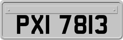 PXI7813