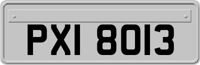 PXI8013