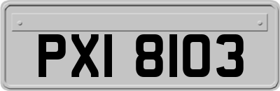 PXI8103