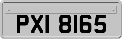 PXI8165