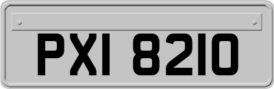 PXI8210