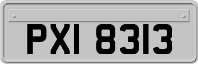 PXI8313