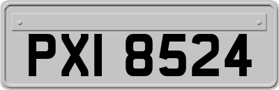 PXI8524