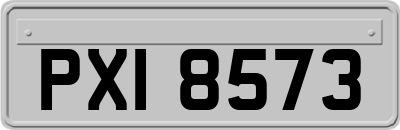 PXI8573