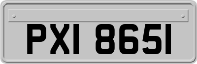 PXI8651