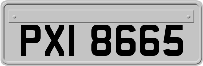 PXI8665