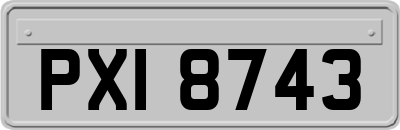 PXI8743