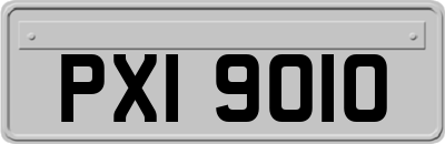 PXI9010