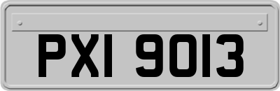 PXI9013