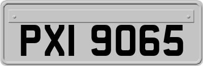 PXI9065