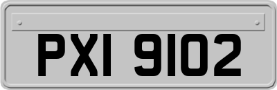 PXI9102