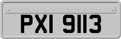 PXI9113