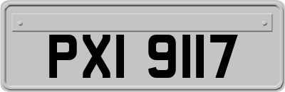 PXI9117