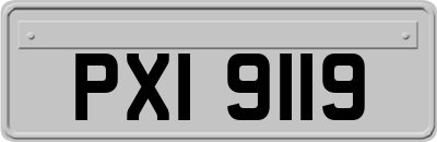 PXI9119