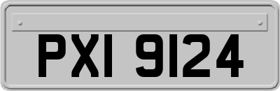 PXI9124