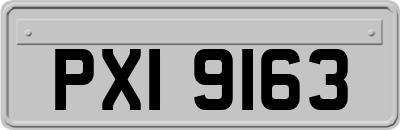 PXI9163