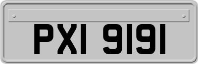 PXI9191