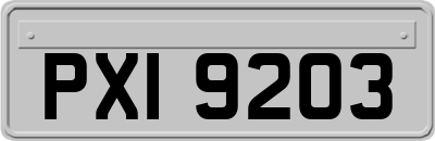 PXI9203