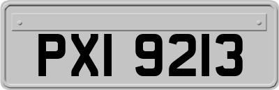 PXI9213