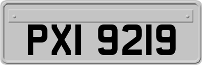 PXI9219