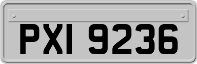 PXI9236