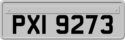 PXI9273