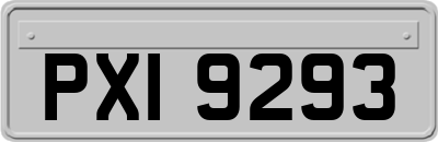 PXI9293