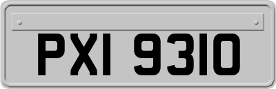PXI9310