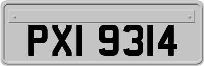 PXI9314