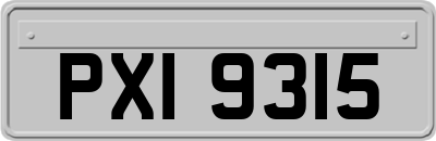 PXI9315