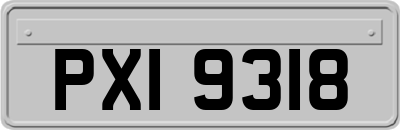 PXI9318