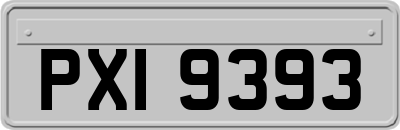 PXI9393