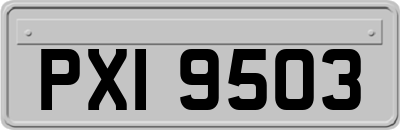 PXI9503