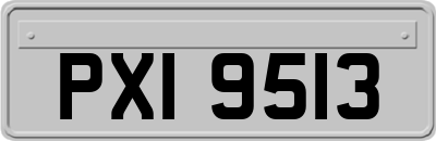 PXI9513